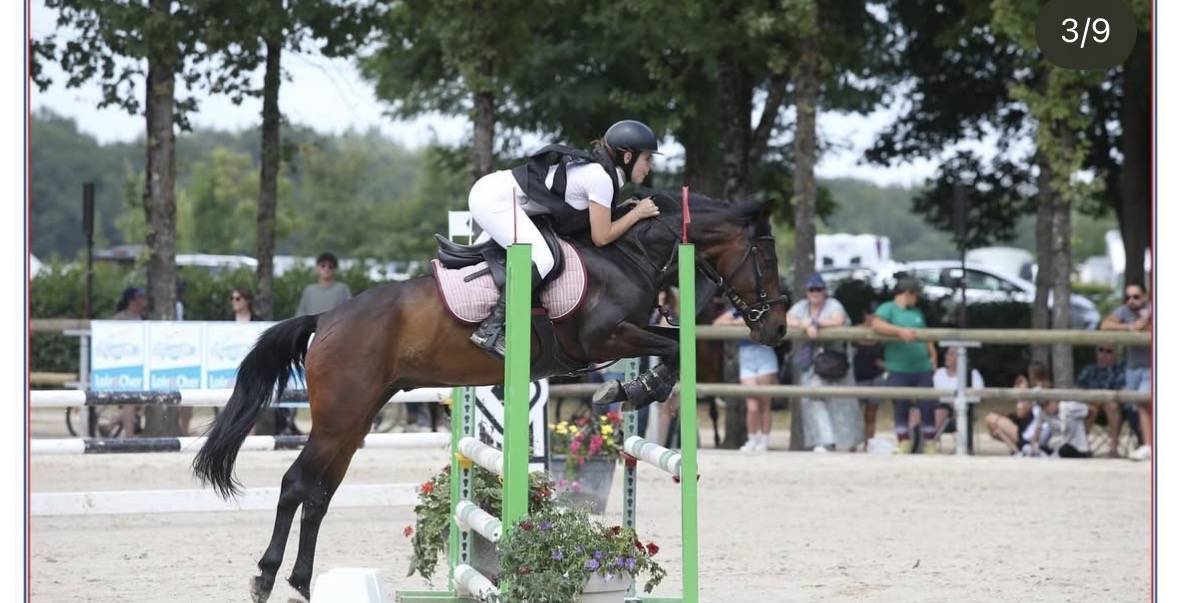 Super poney de comp&eacute;tition