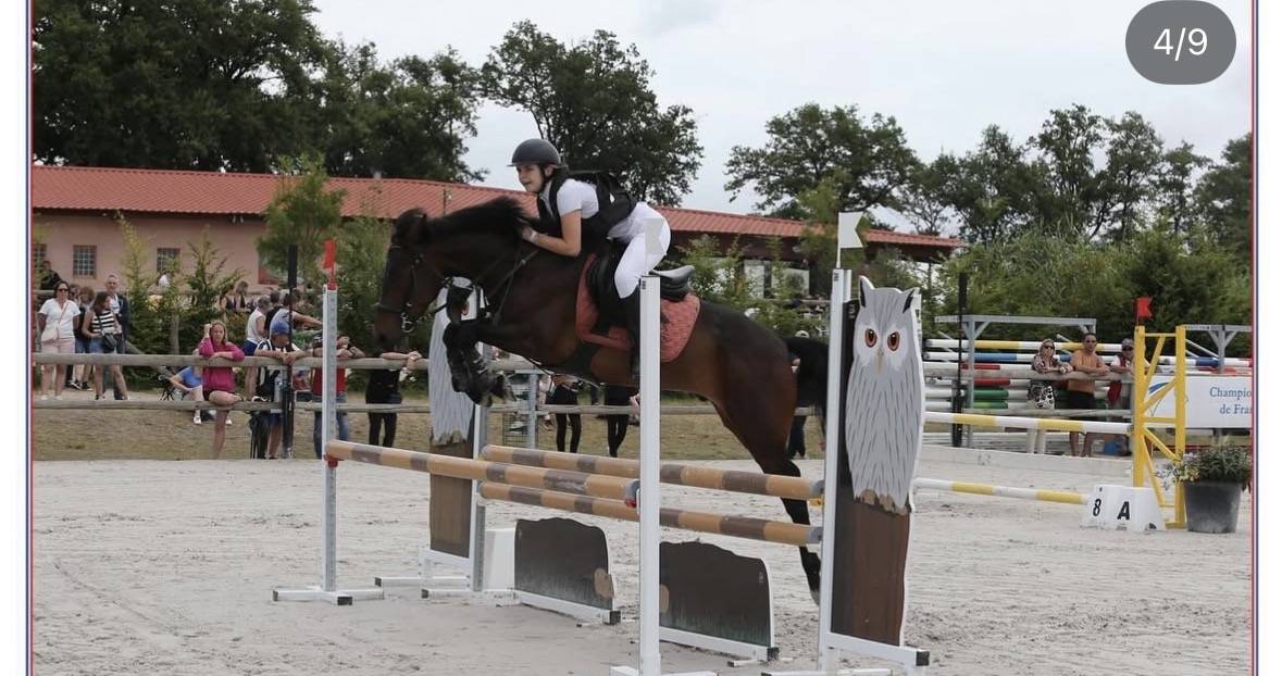 Super poney de comp&eacute;tition