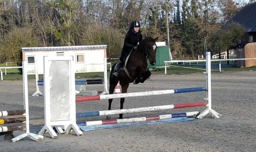 Magnifique curly polyvalent 