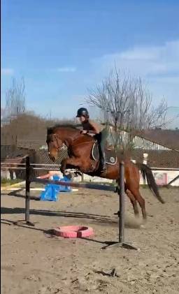 Demi-pension ou pension compl&egrave;te