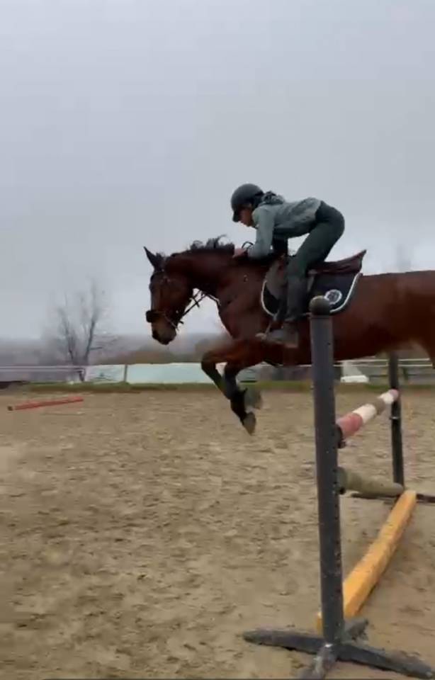 Demi-pension ou pension compl&egrave;te