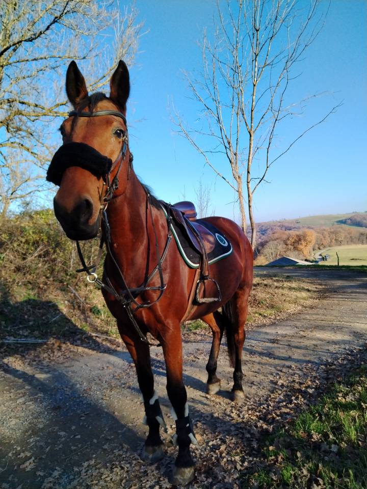 Demi-pension ou pension compl&egrave;te