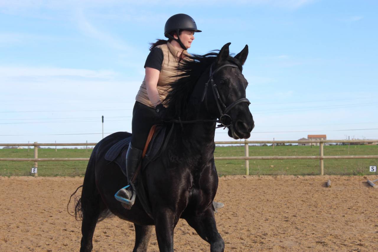 Cheval pure race espagnol 