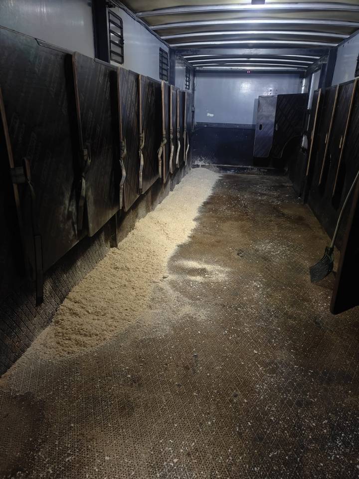 Semi Remorque Chevaux