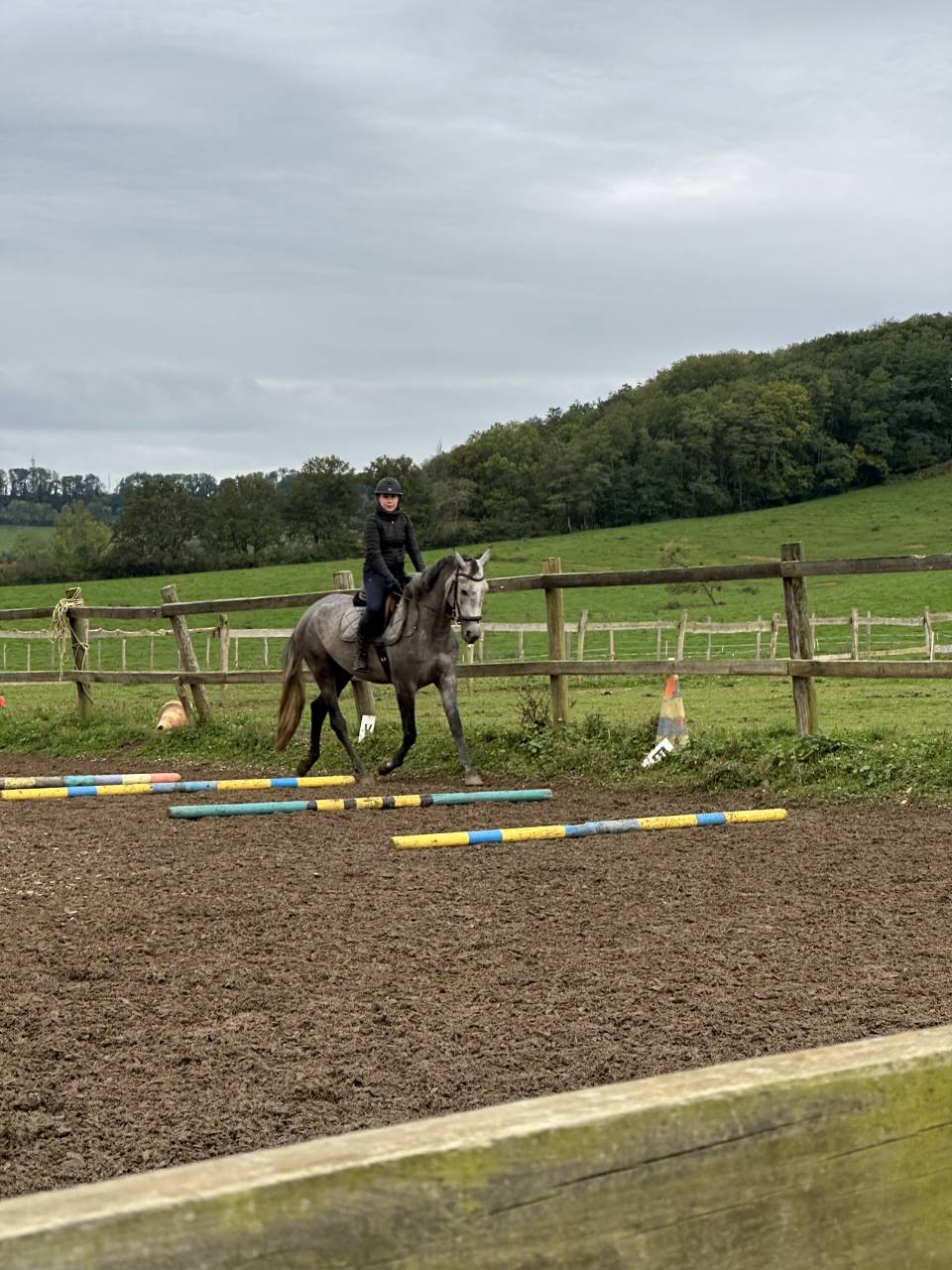 Kimba - Demi - pension  15min de Dijon Sud-Est