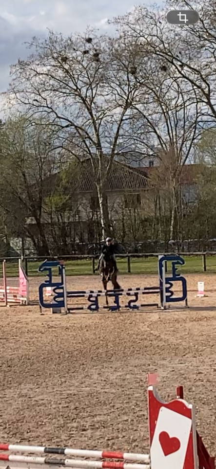 Super cheval id&eacute;al amateur 