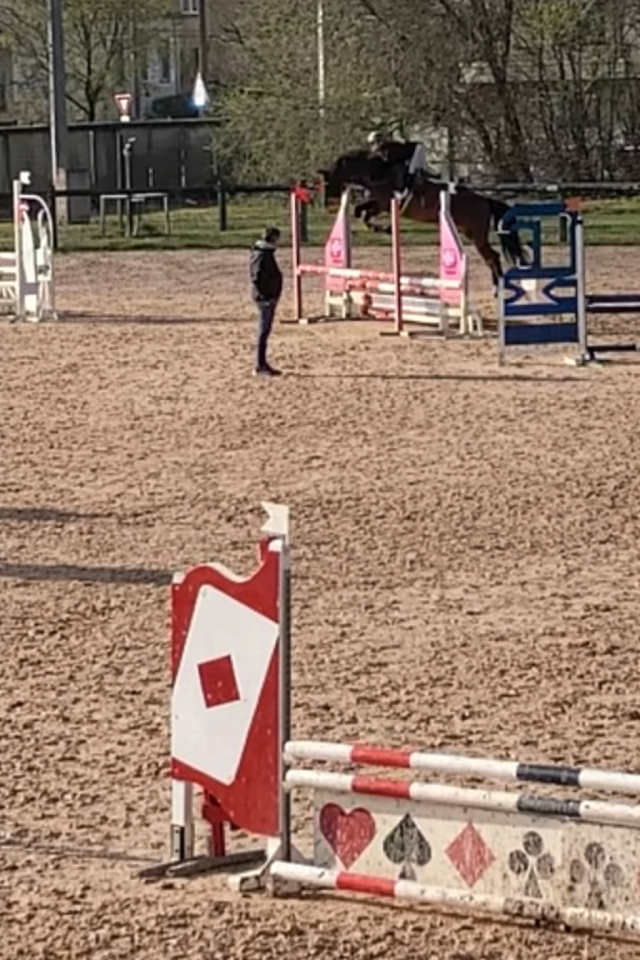 Super cheval id&eacute;al amateur 