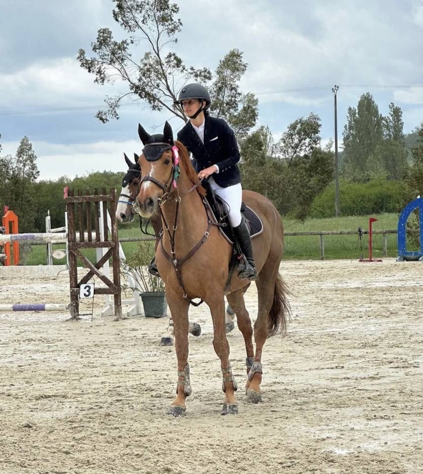 Cheval cso amateur elite