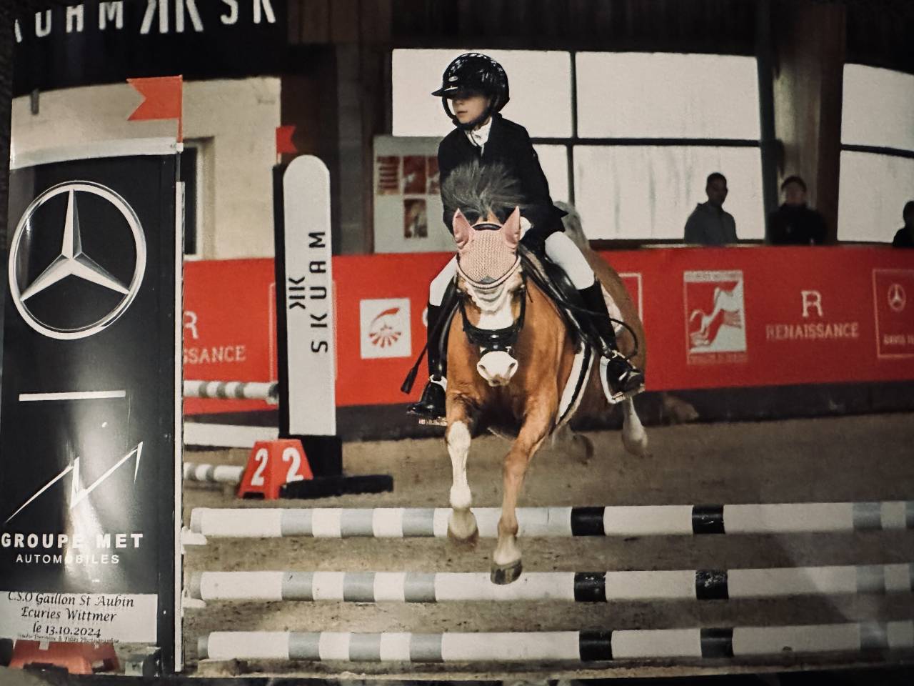 Magnifique ponette Welsh Dressage et CSO 