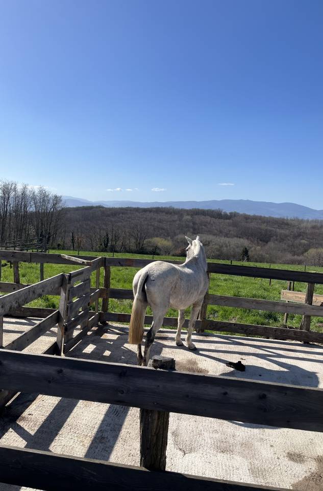 Pension m&eacute;dicalis&eacute;e/convalescence 