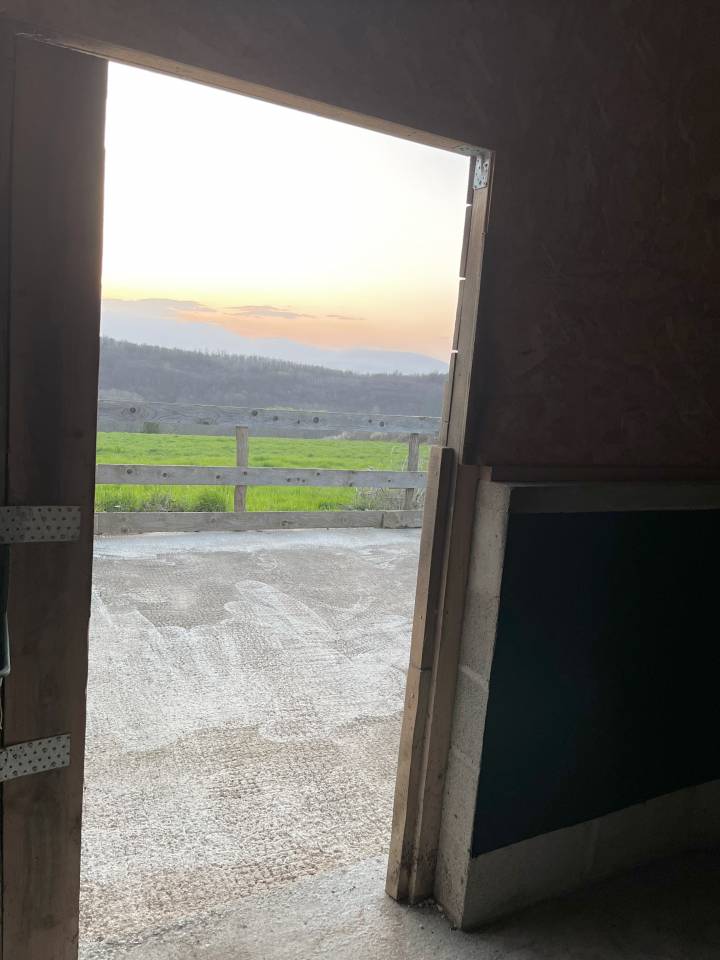 Pension m&eacute;dicalis&eacute;e/convalescence 