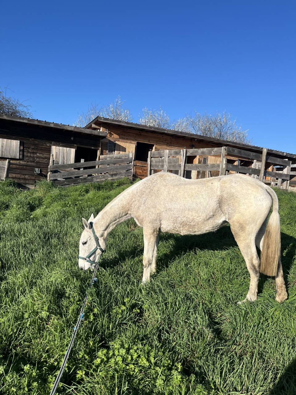 Pension m&eacute;dicalis&eacute;e/convalescence 