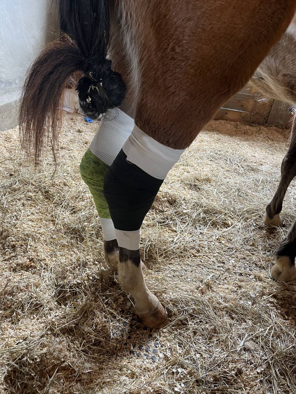 Pension m&eacute;dicalis&eacute;e/convalescence 