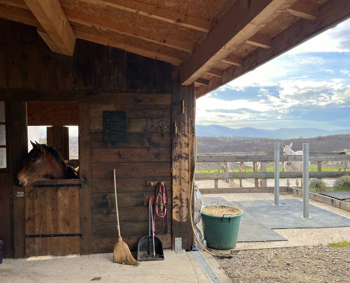 Pension m&eacute;dicalis&eacute;e/convalescence 