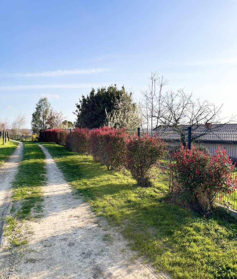 Pension m&eacute;dicalis&eacute;e/convalescence 