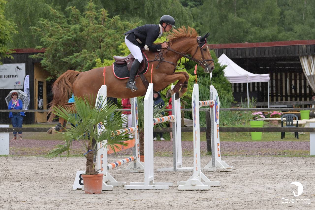 &Agrave; vendre poulini&egrave;re