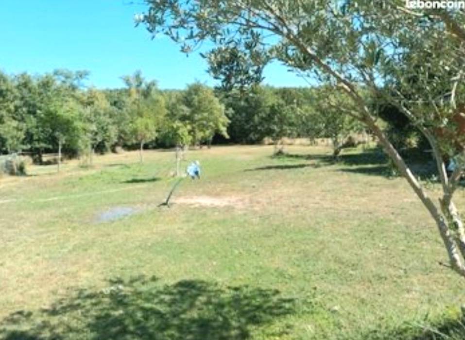 Pension retraite pour petit cheval Ane ou poney chez p