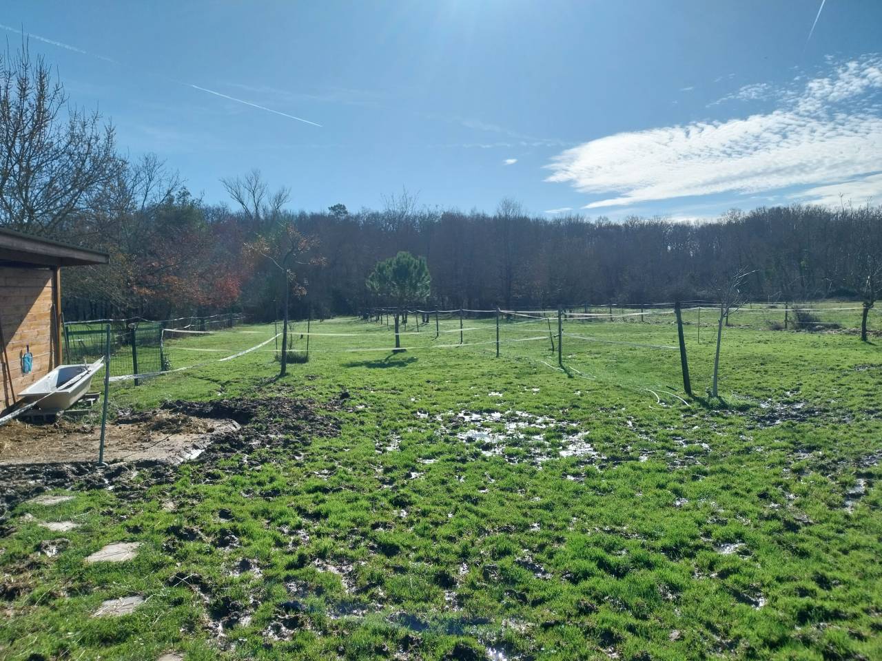 Pension retraite pour petit cheval Ane ou poney chez p