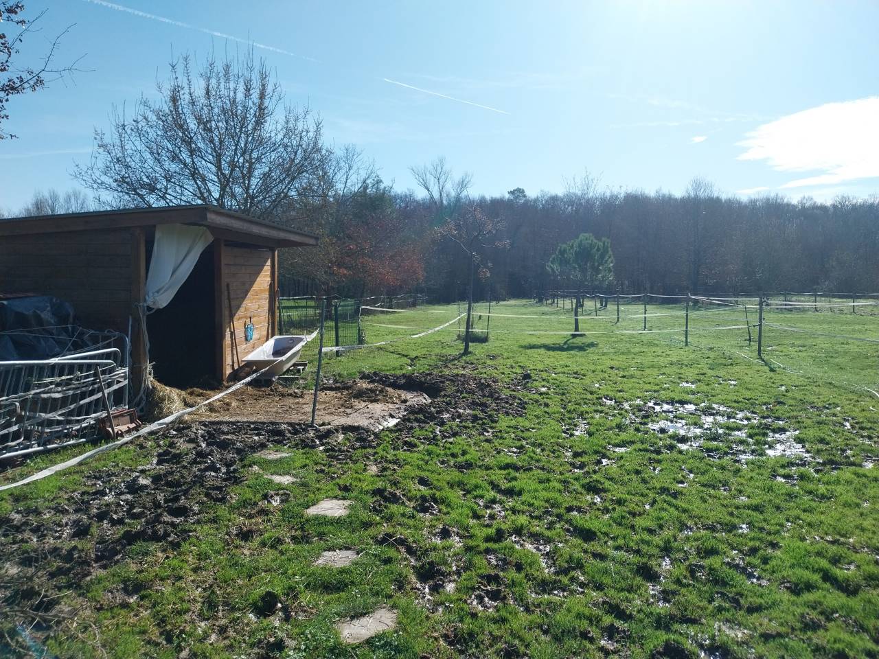 Pension retraite pour petit cheval Ane ou poney chez p