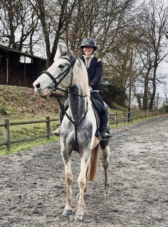 Jeune jument de CSO/CCE pie grise