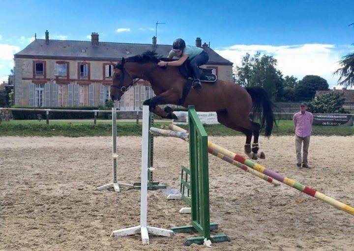 Embryon Untouchable 27 X Winnigwood X Diamant