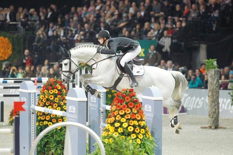 Embryon Untouchable 27 X Winnigwood X Diamant