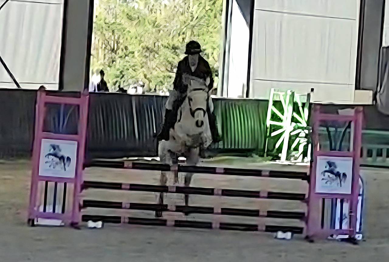Poney de Sport