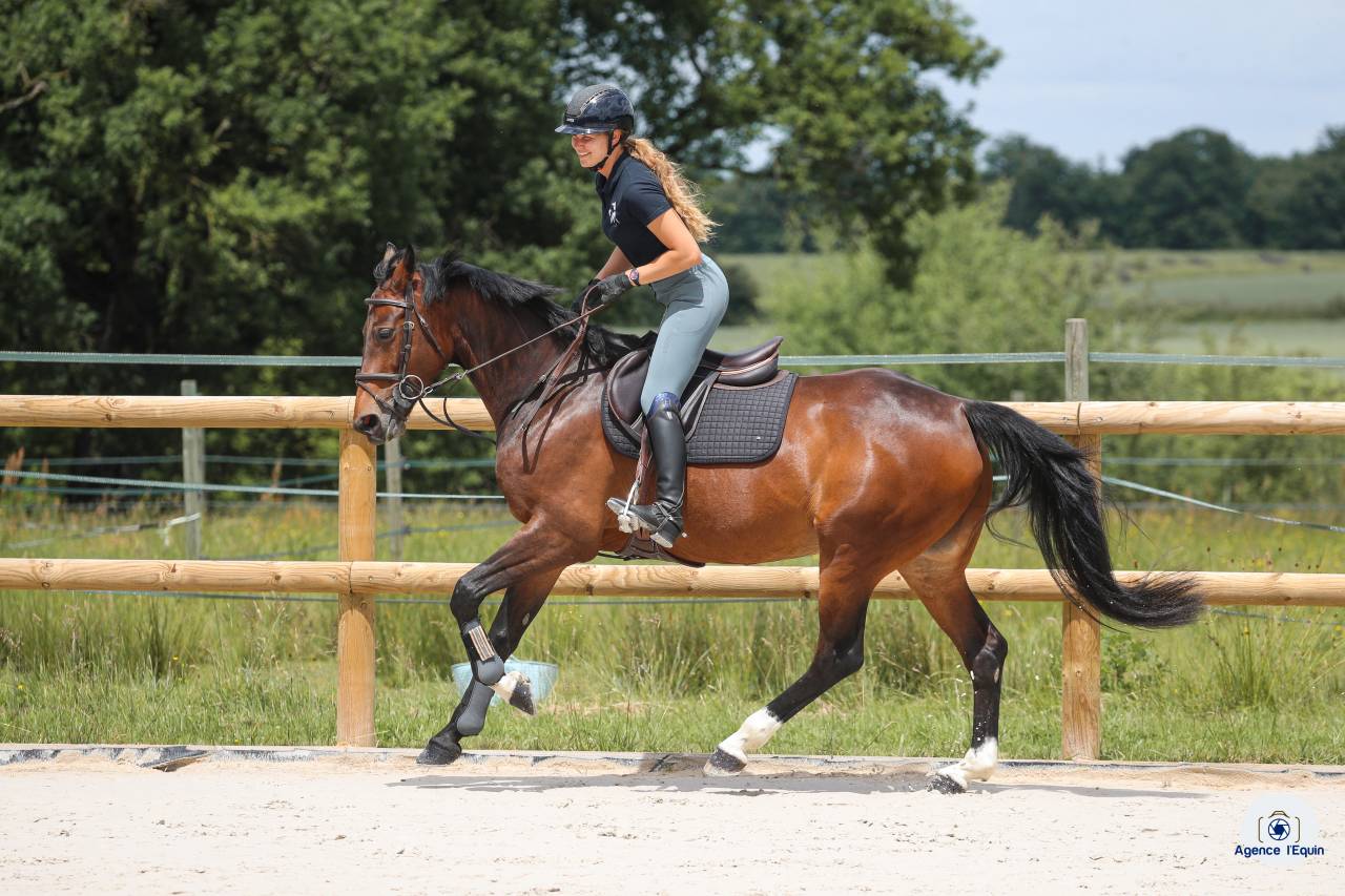 Pensions pr&eacute; ou boxe/paddock dans structure de qualit&eacute; 