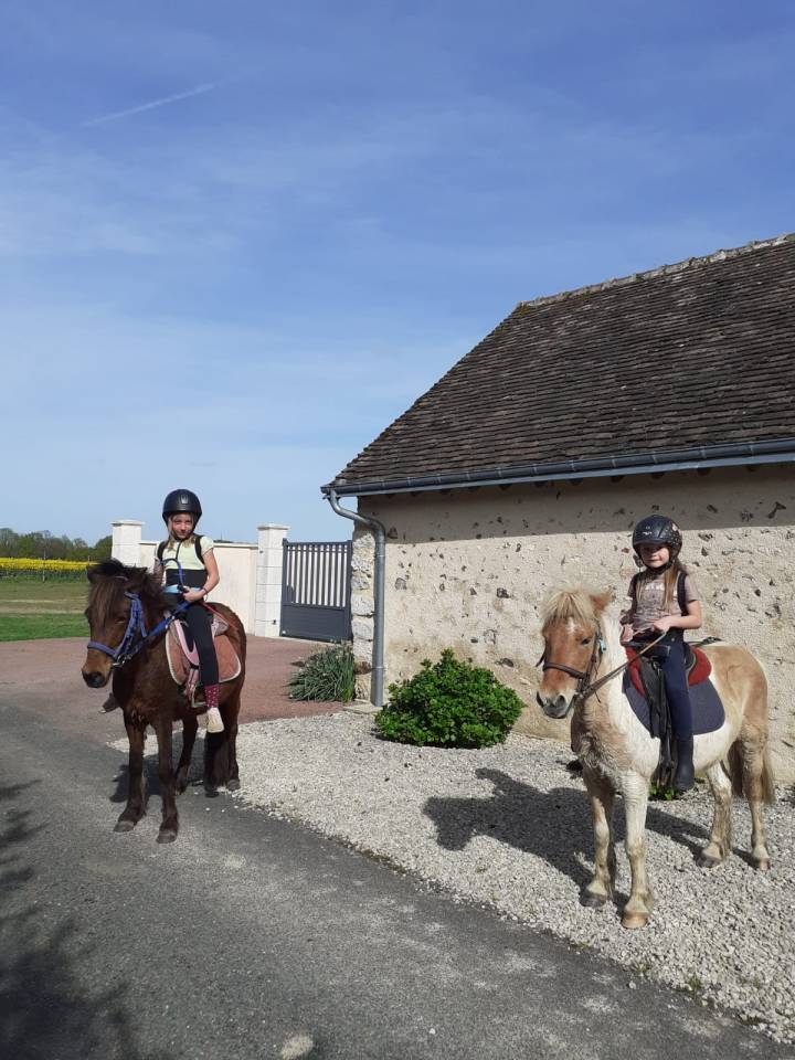Ponette de loisir, 8ans, onc, 1.16m, tr&egrave;s bien mont&eacute;e.