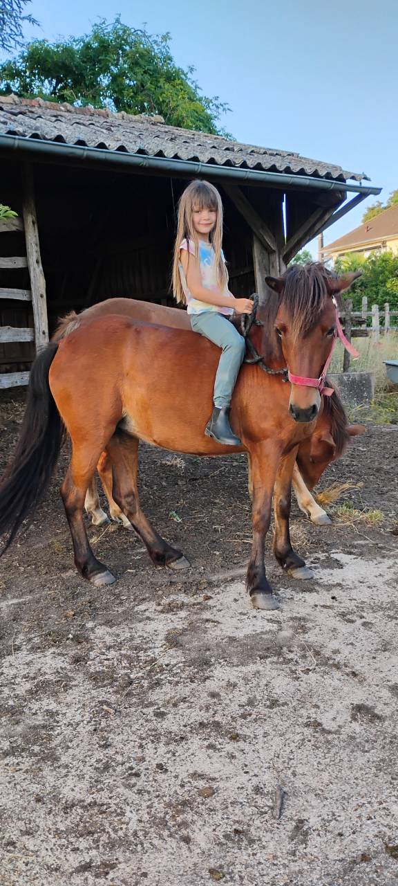 Ponette de loisir, 8ans, onc, 1.16m, tr&egrave;s bien mont&eacute;e.