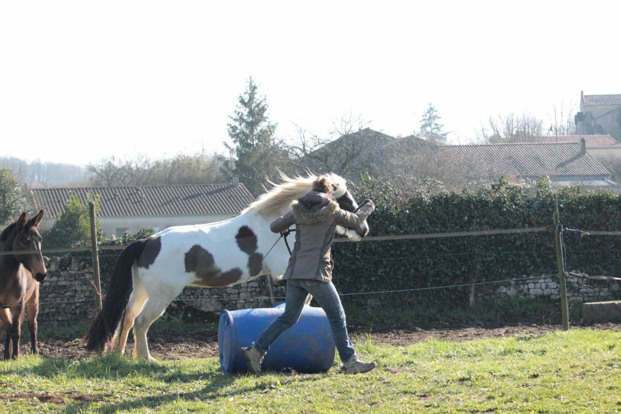 pension pr&eacute; &agrave; l&rsquo;ann&eacute;e &ndash; Edel&rsquo;Paradise (proche 79-85-17)