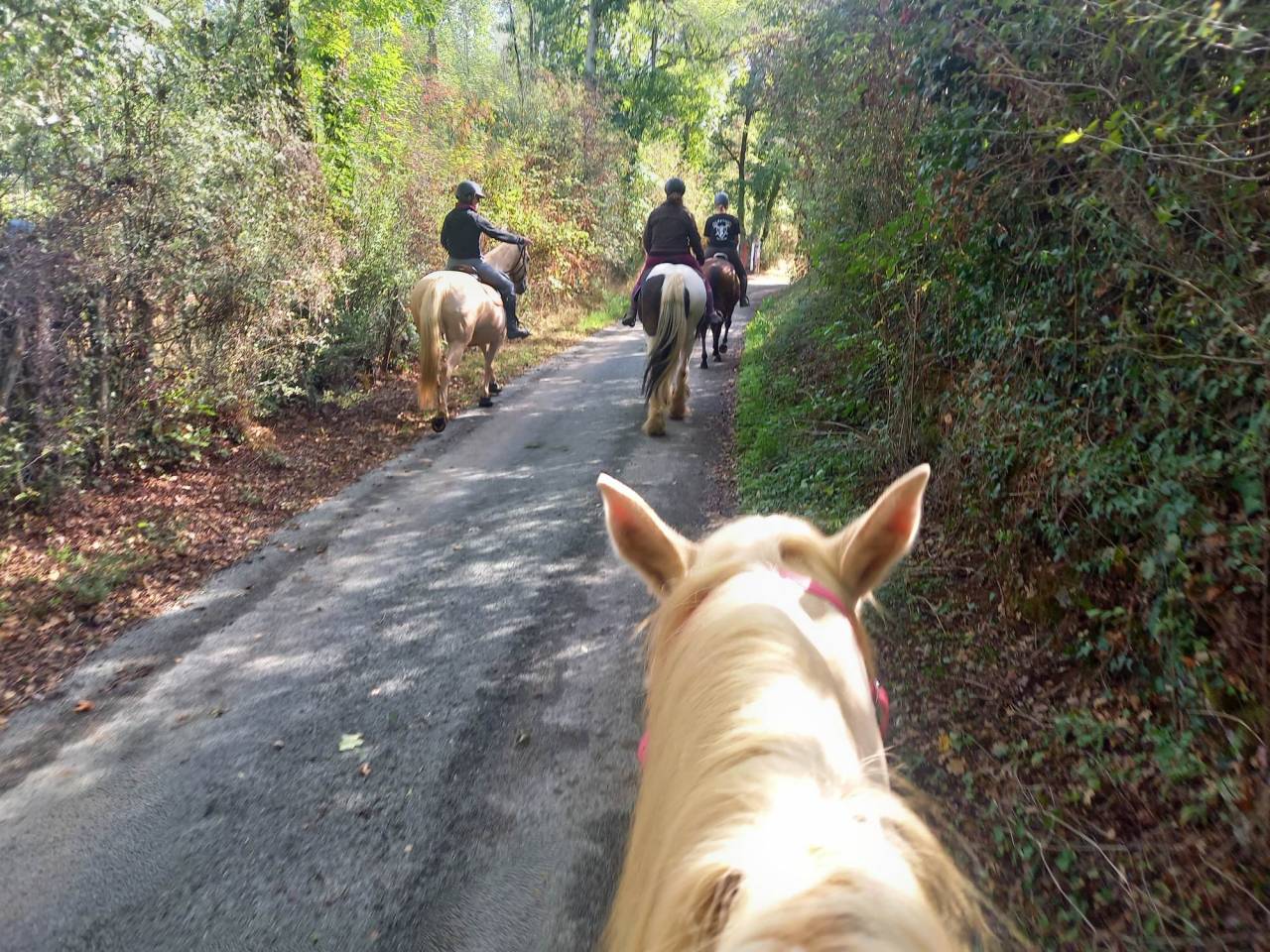 pension pr&eacute; &agrave; l&rsquo;ann&eacute;e &ndash; Edel&rsquo;Paradise (proche 79-85-17)