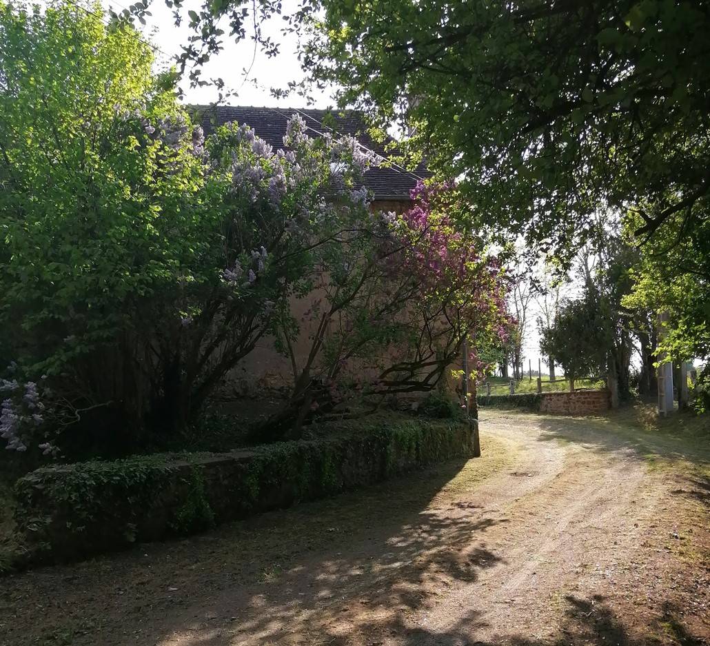 Fermette terrain 1 HA  &agrave; Sainte-Sabine-sur-Long&egrave;ve 72380