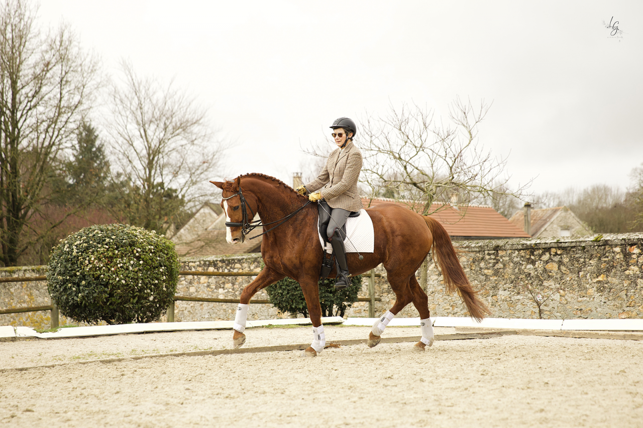 &Eacute;l&eacute;gante jument hanovrienne &ndash; Interm&eacute;diaire confirm&eacute;