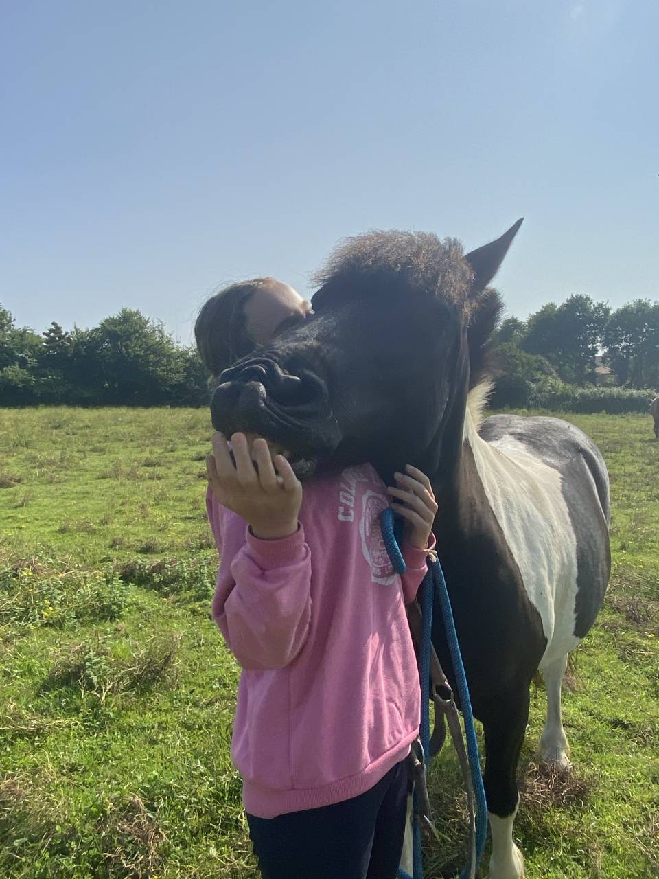 Coco mambo - Poney &agrave; vendre 