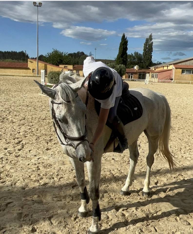 Cheval de sport CSO  Amateur &Eacute;lite Pro 3 10ans