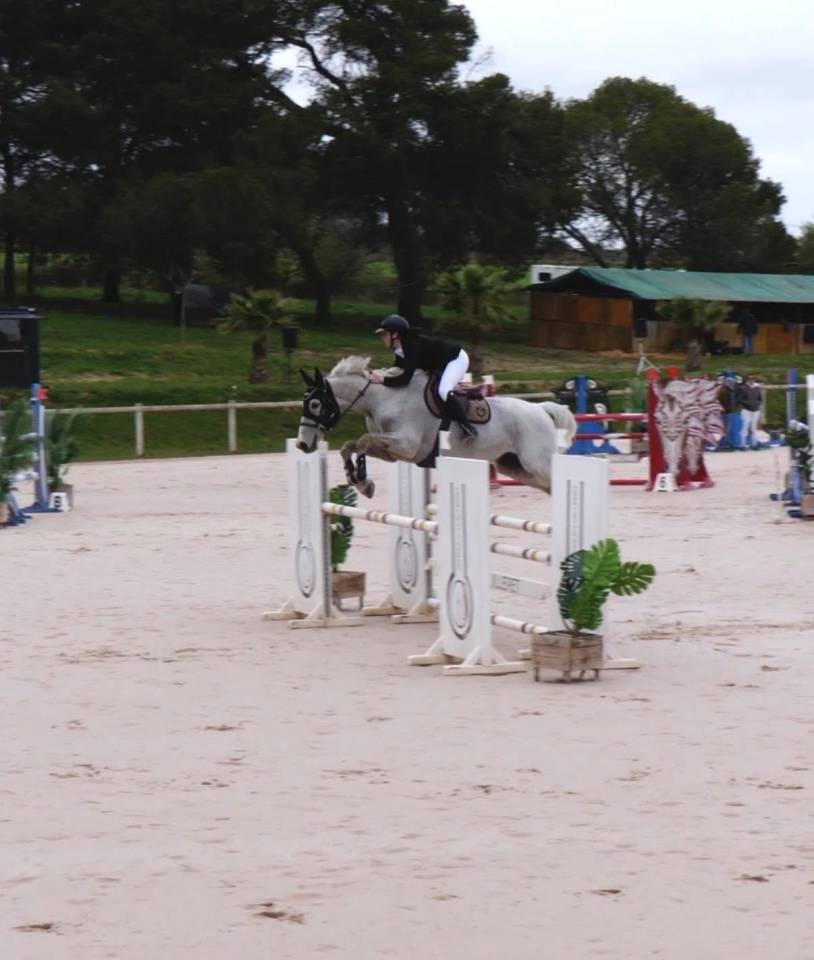 Cheval de sport CSO  Amateur &Eacute;lite Pro 3 10ans