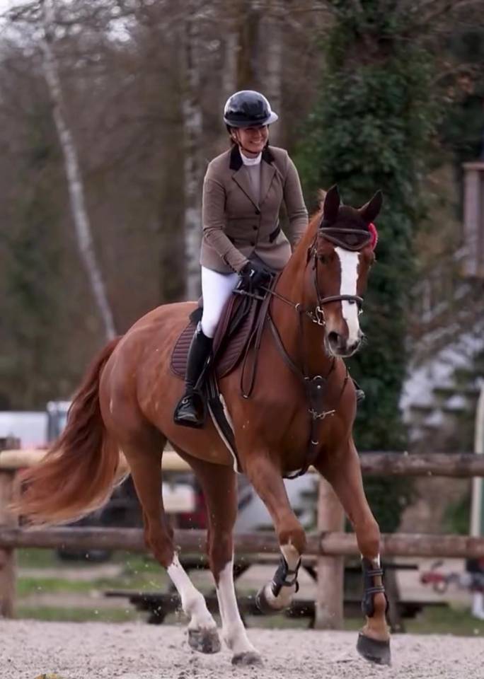 Hongre de 9 ans CSO 135/140