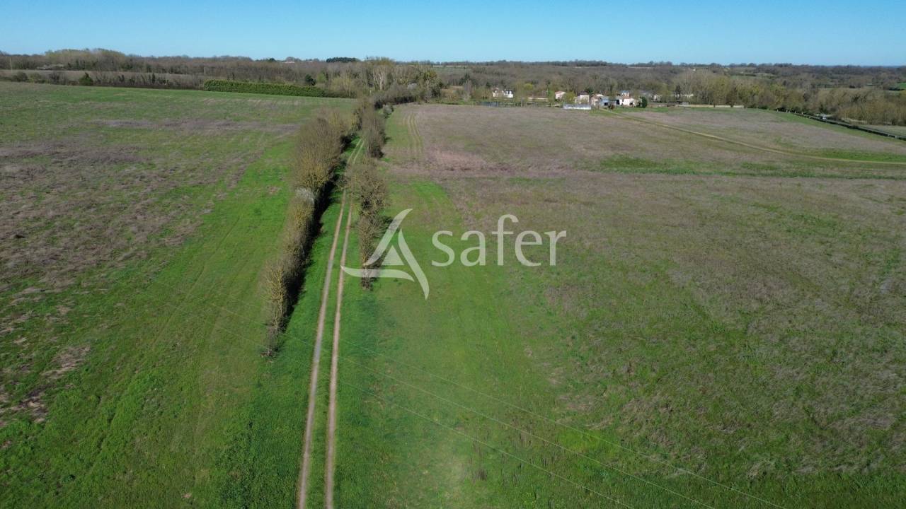 Exploitation c&eacute;r&eacute;ali&egrave;re sur 720 ha
