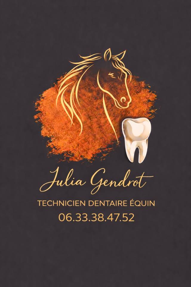 Dentiste - Technicien dentaire &eacute;quin 