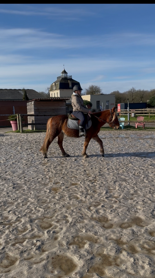 Poney B porteur 4 ans 