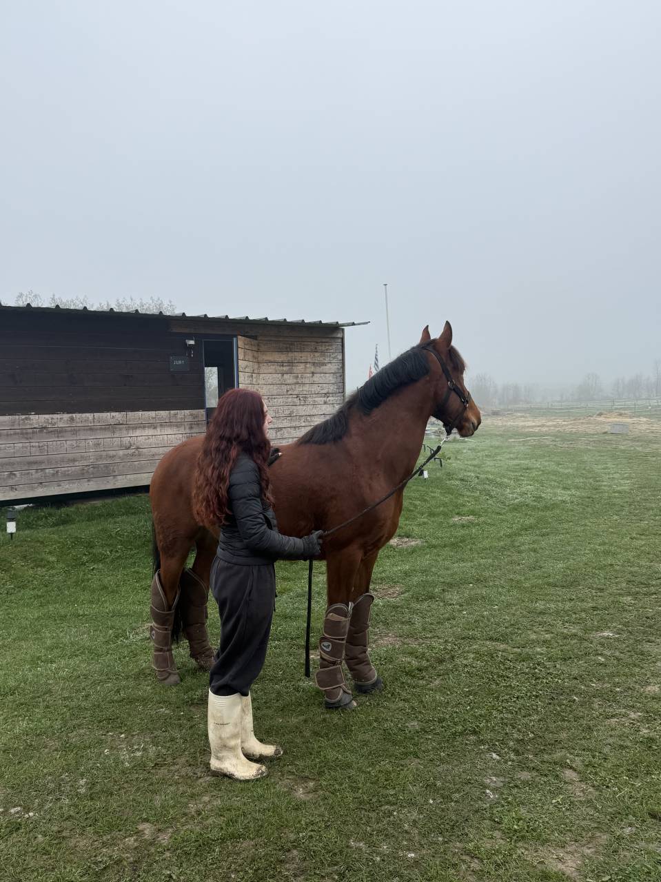 Poney espagnol - 5 ans - 1m47