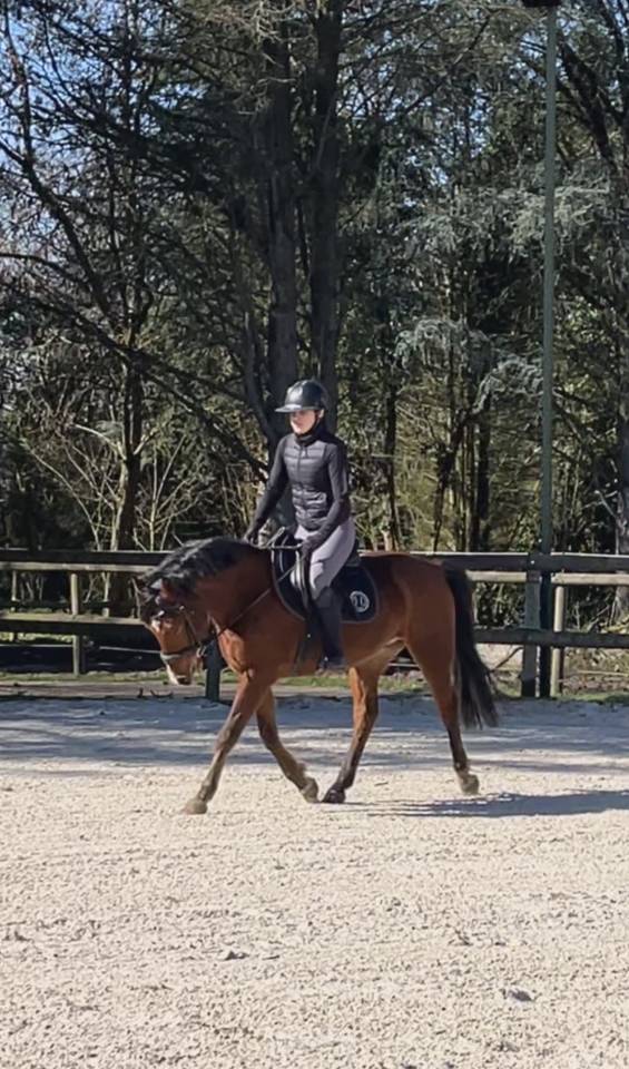 Poney espagnol - 5 ans - 1m47