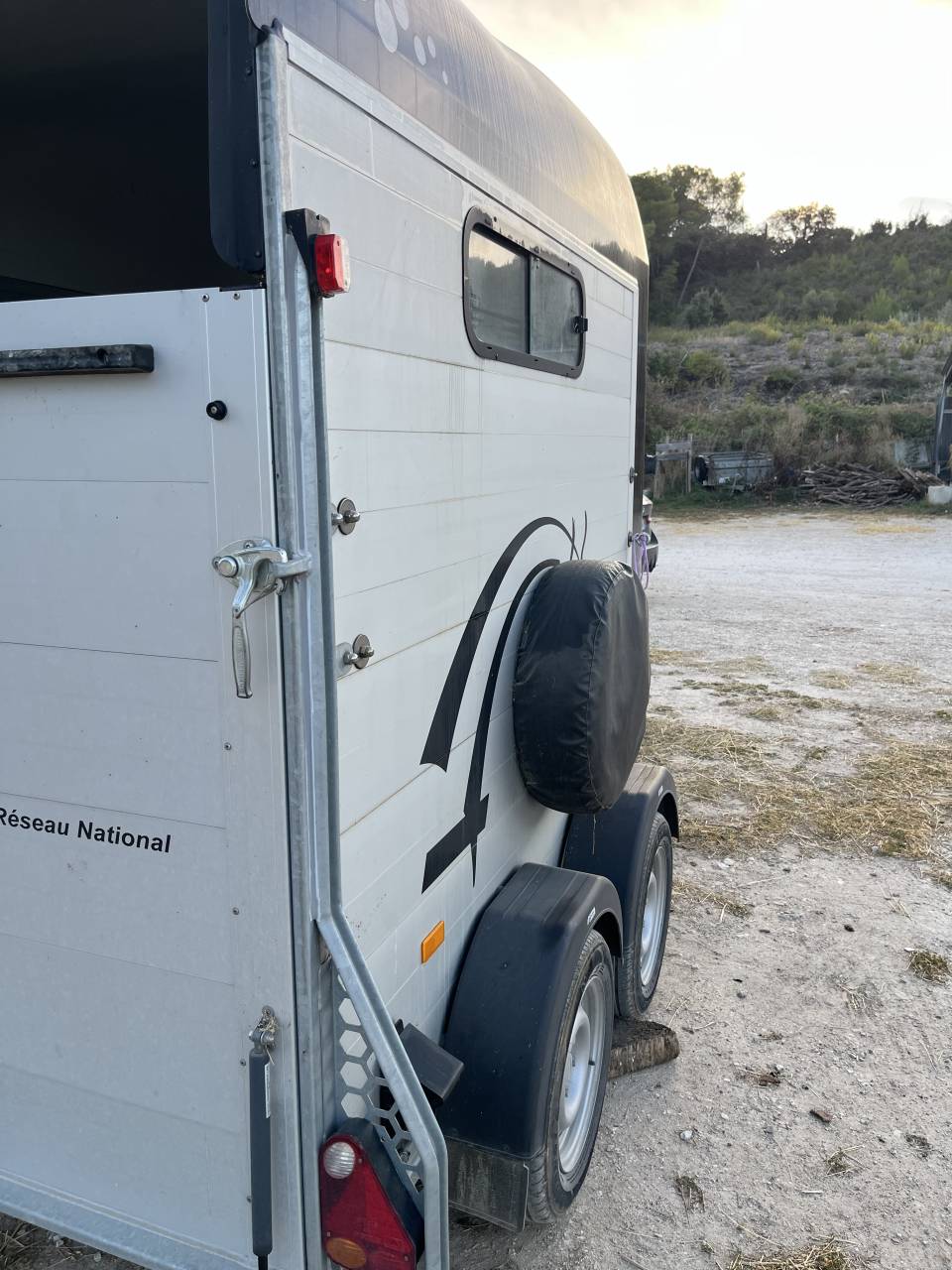 VAN cheval libert&eacute; gold 3