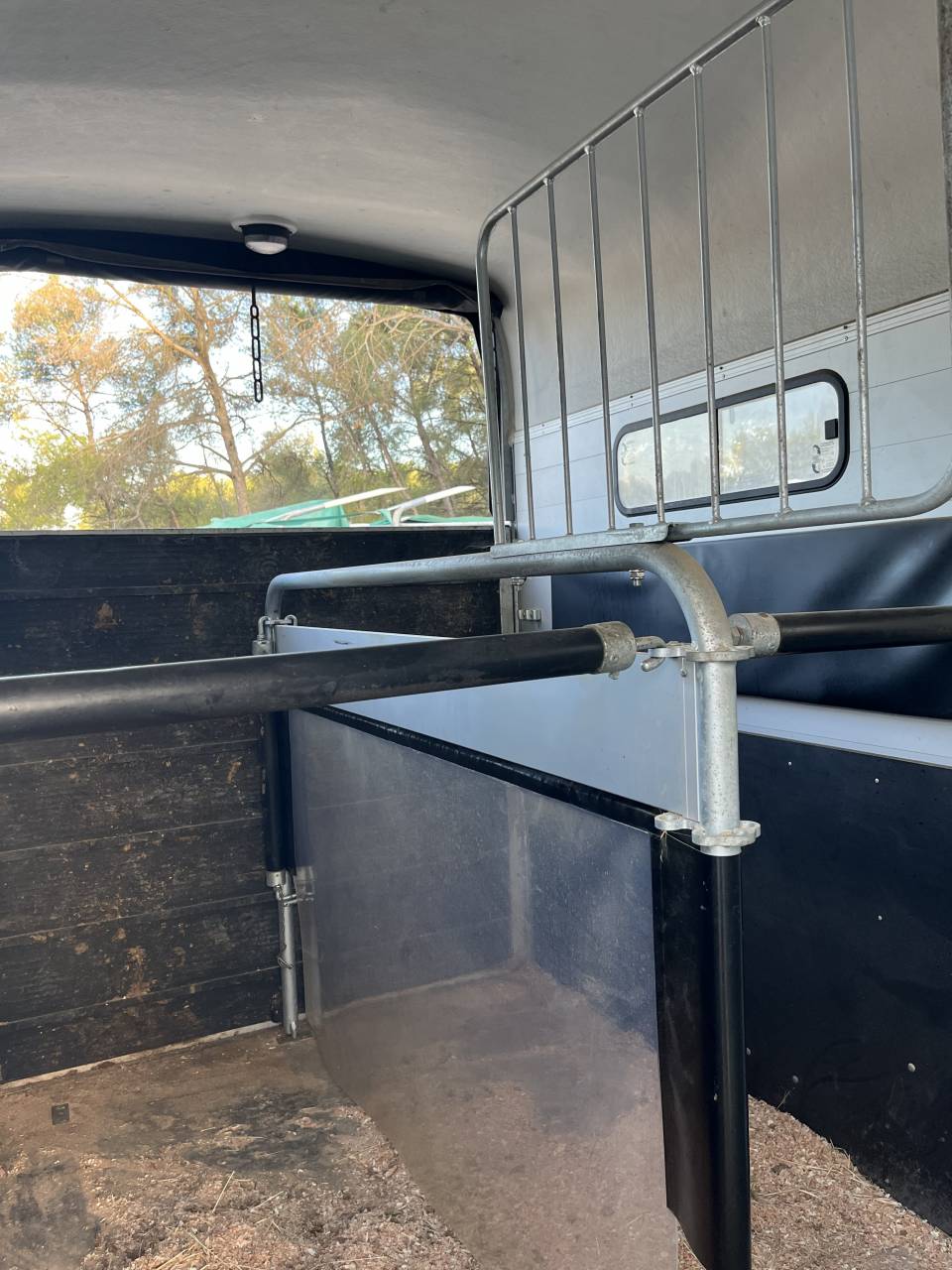 VAN cheval libert&eacute; gold 3