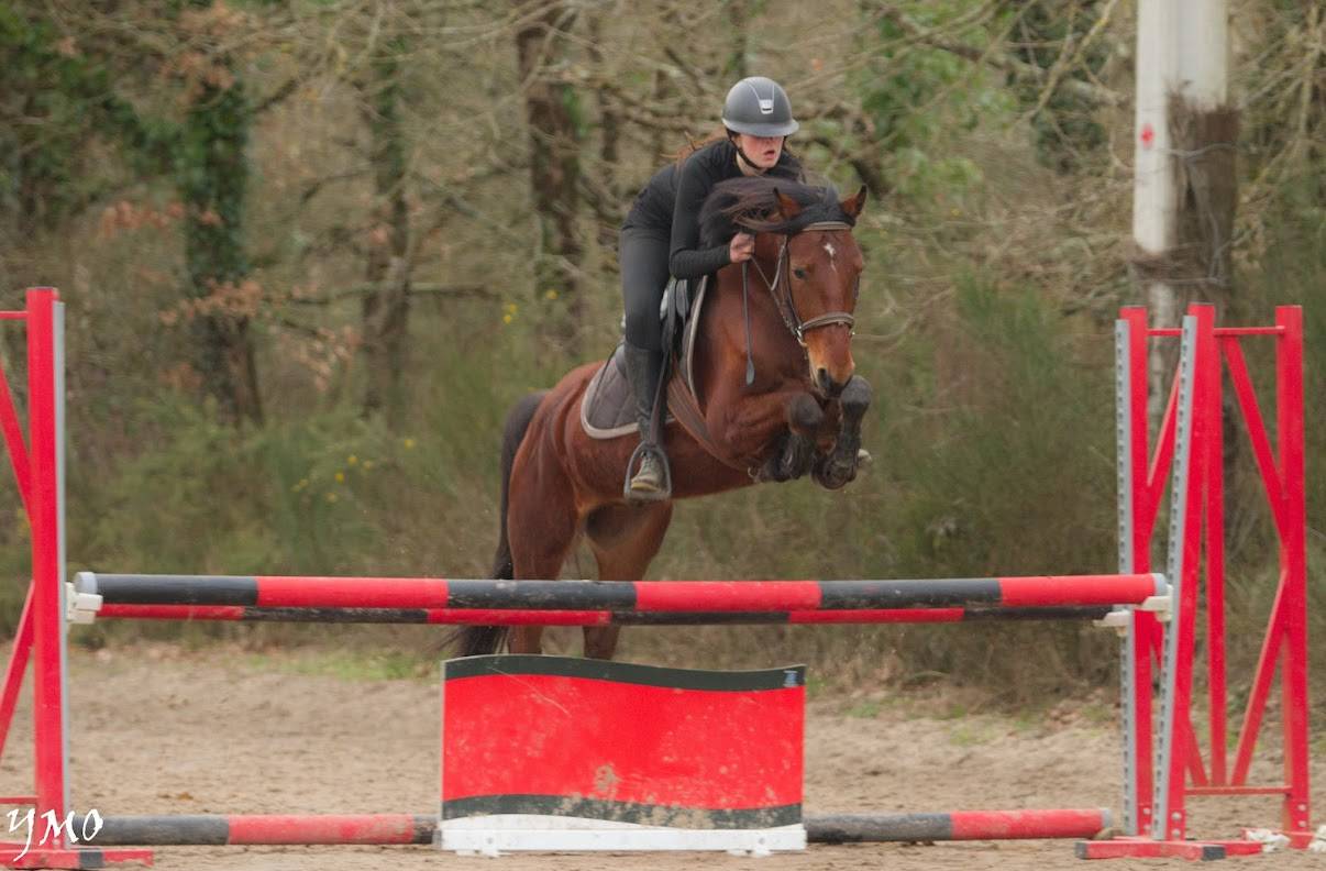 Poney C par champagne d&rsquo;Ar cus