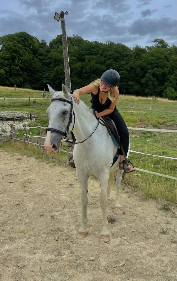 cheval lipizzan lign&eacute;e siglavy 