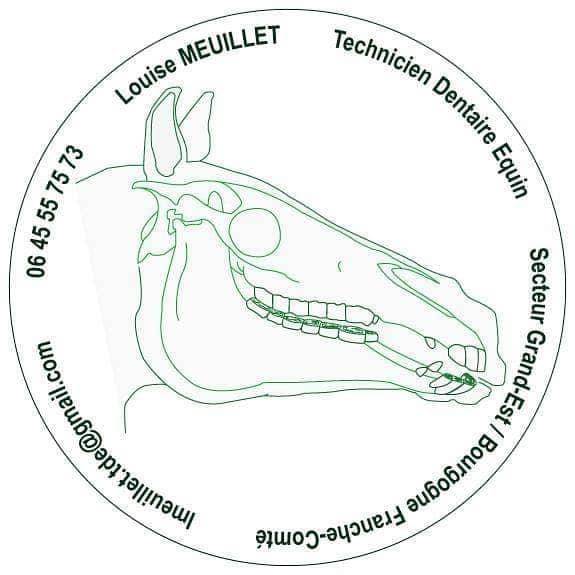 Technicien Dentaire Equin