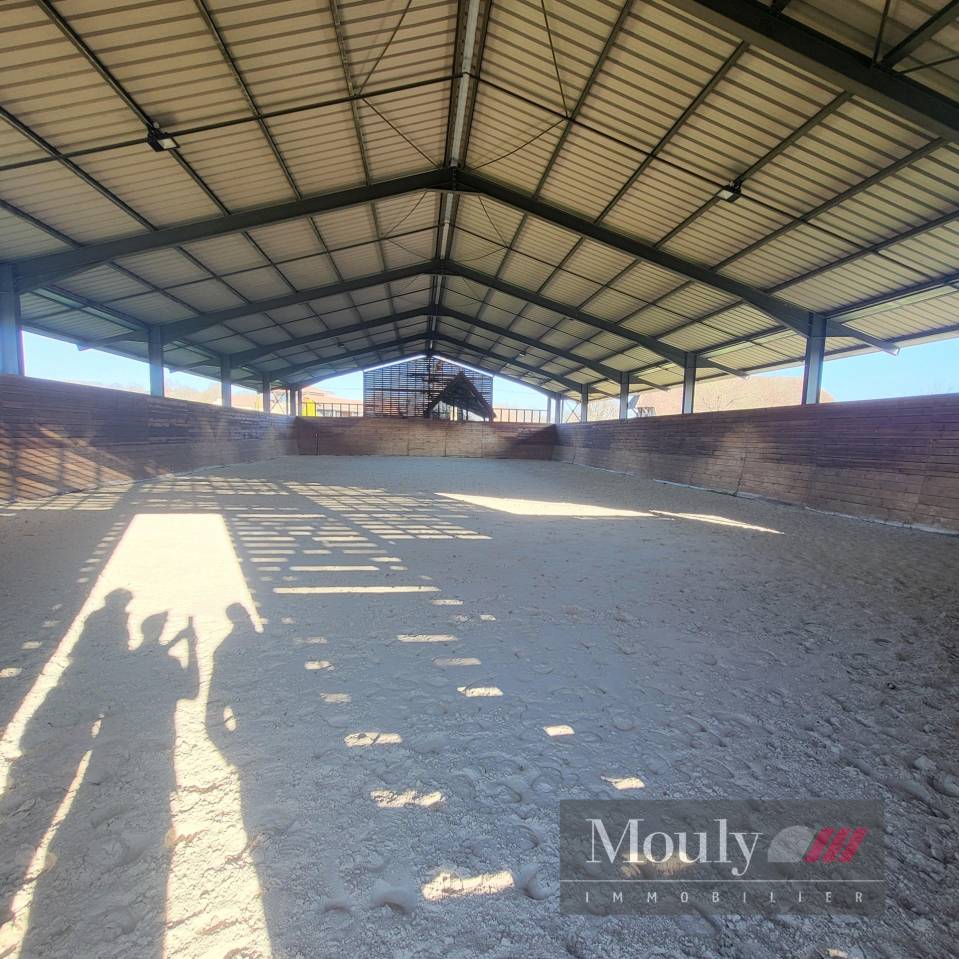 PROPRIETE EQUESTRE AVEC UNE BELLE MAISON CONTEMPORAINE 