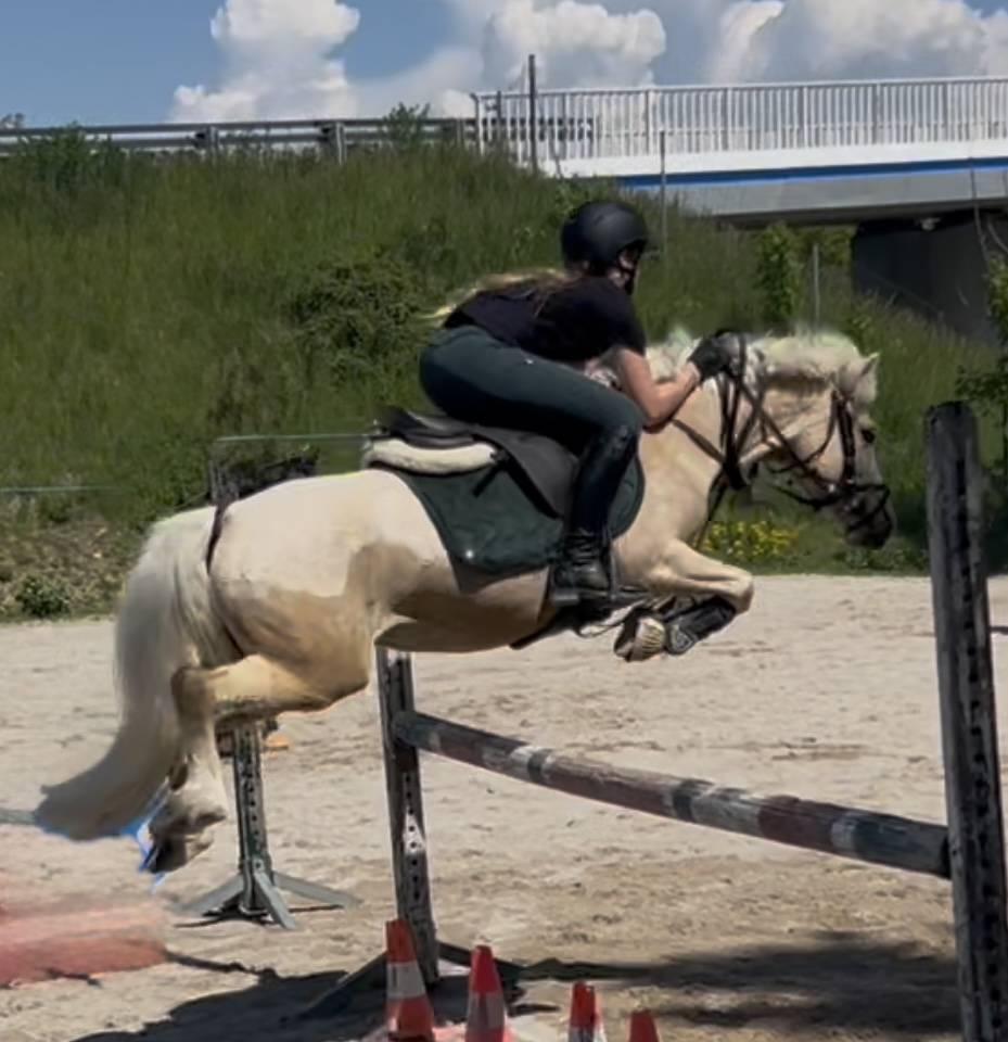 Ponette &agrave; vendre taille C Cso ou loisirs